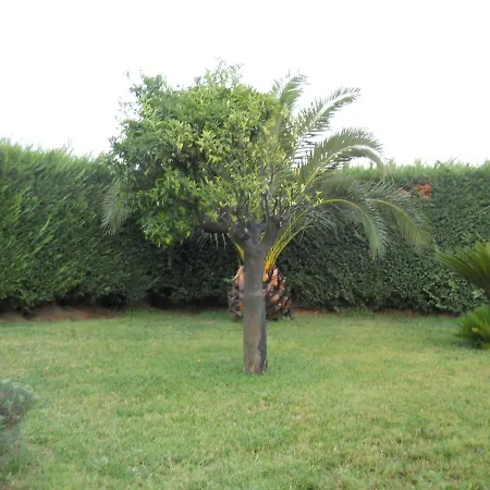 Bed & Breakfast Oasi